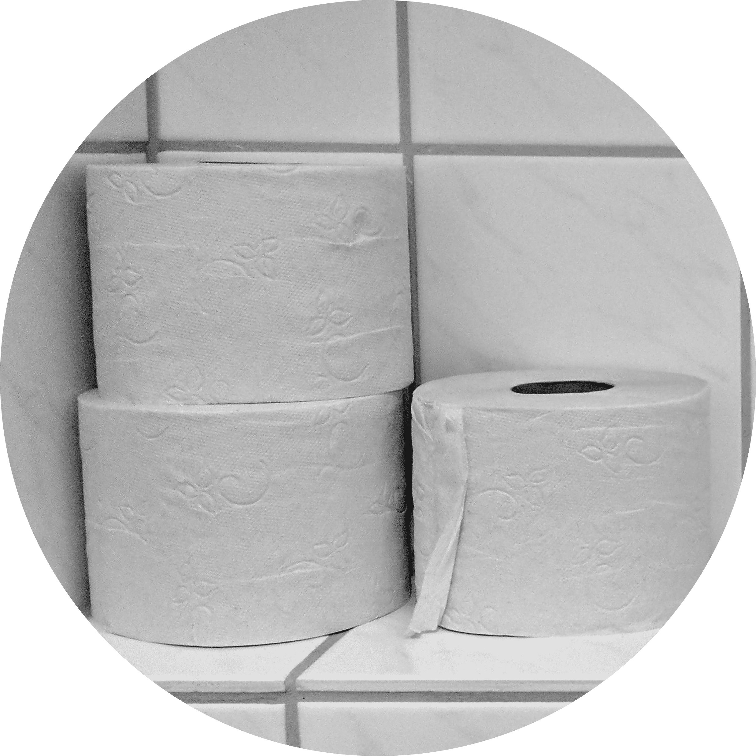 Toilet Roll | IT Storeroom